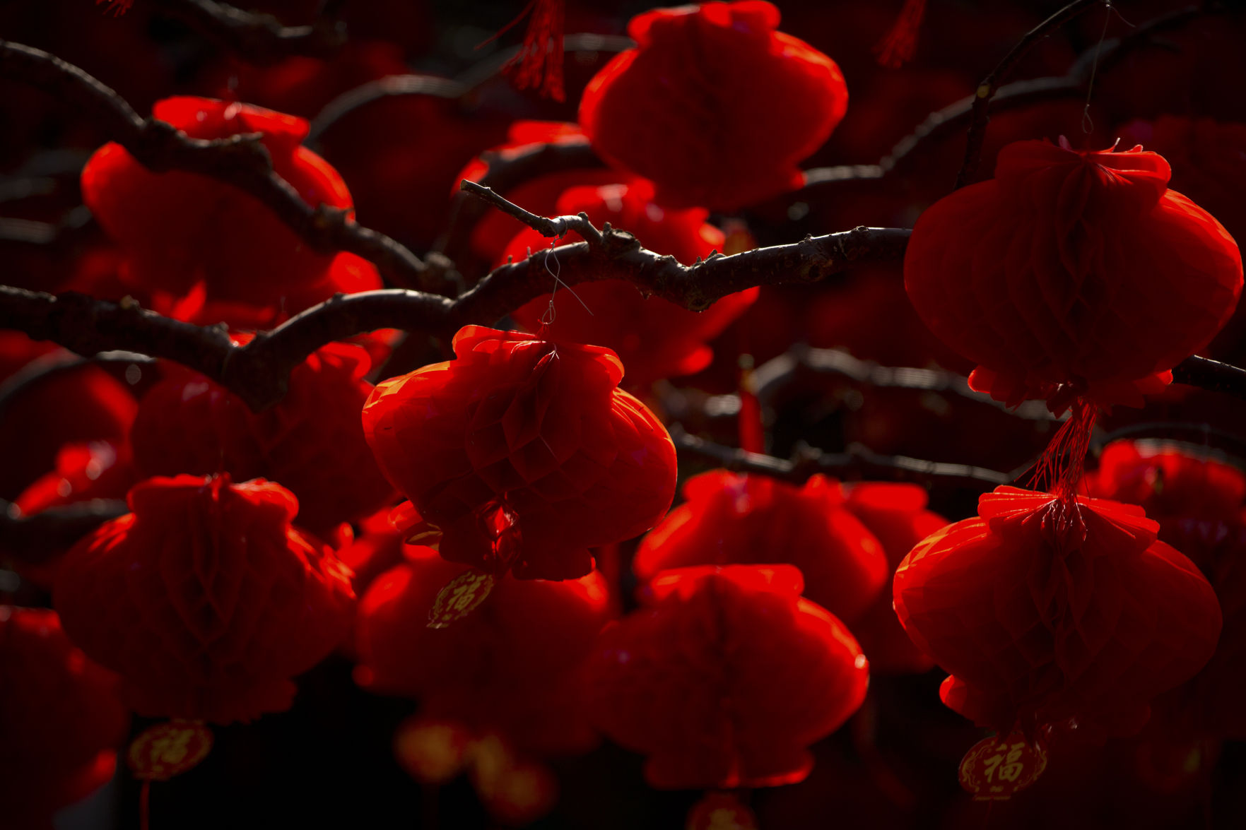 Chinese New Year